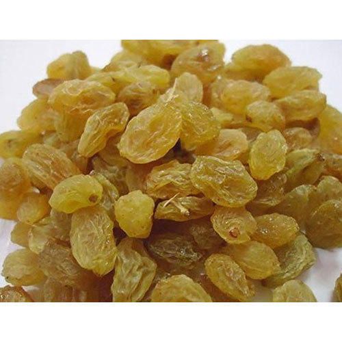 RAISIN GOLDEN